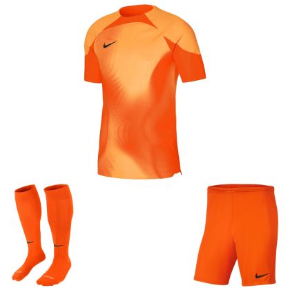 Nike Torwarttrikotset Gardien IV