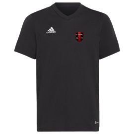 adidas Entrada 22 SSV Hattenheim Kinder T-Shirt