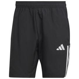 adidas Tiro 23 Competition SSV Hattenheim Herren Damen DT Trainingshort