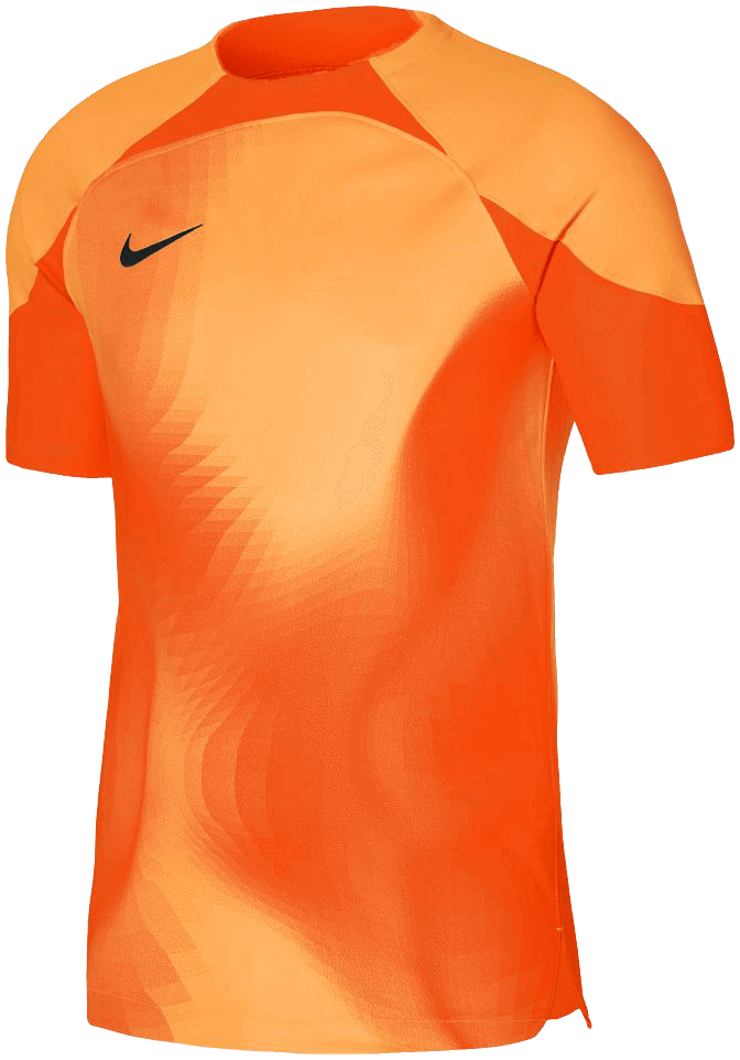 Nike Kurzarm-Torwarttrikot Gardien IV